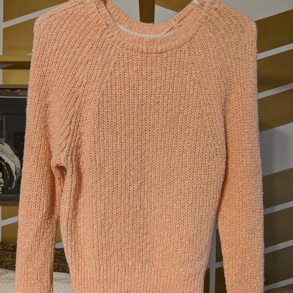 Free People Knit Pullover Sweater